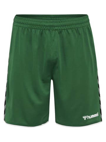 Hummel Hummel Verstellbare Taille Kurze Hose Hmlauthentic Herren in EVERGREEN