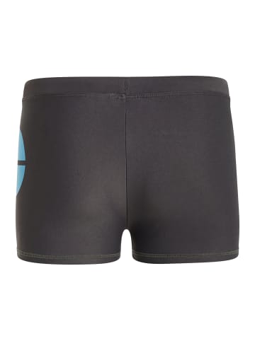 Protest " CARST JR in JayBlue