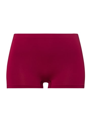 Hanro Panty Touch Feeling in intense garnet