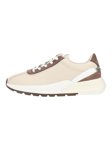 Geox Sneaker METROPOLI in Beige