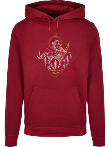 Absolute Cult Absolute Cult Kapuzenpullover in burgundy