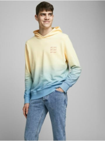 Jack & Jones Hoodie für Herren in Bunt