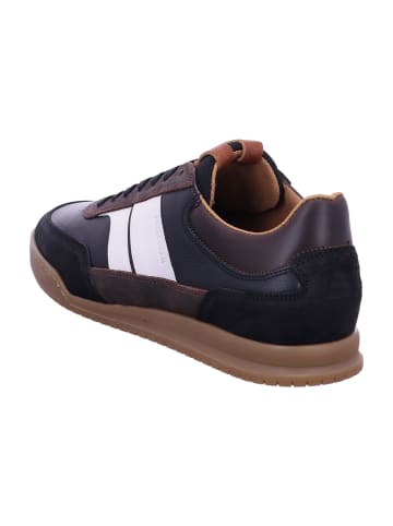 Bullboxer Sneaker Low in Braun