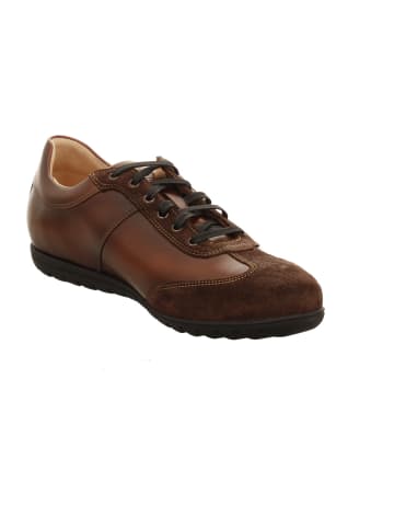 Franz Gustav Schnürschuhe in braun