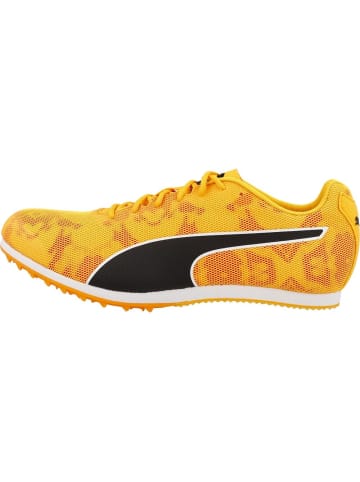 Puma Laufschuh "evoSPEED Star 8" in Orange