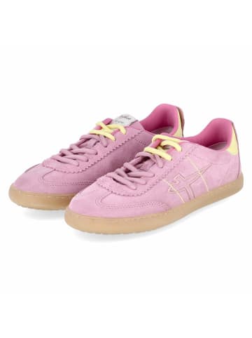Low Sneaker in pink