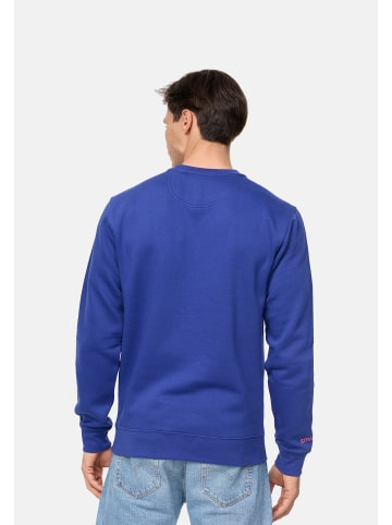 smiler. Sweatshirtpullover dude. in BLAU