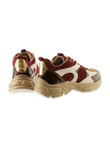 Högl Sportliche Schnürschuhe in Braun