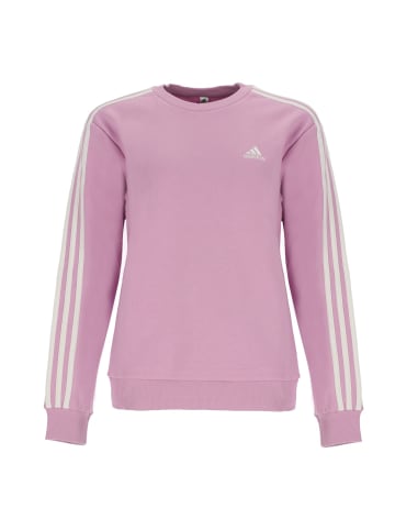 adidas Pullover Rundhalshals in lila