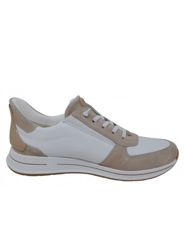 ara sportlicher Schnürer Osaka 2,0 Weite H in Beige
