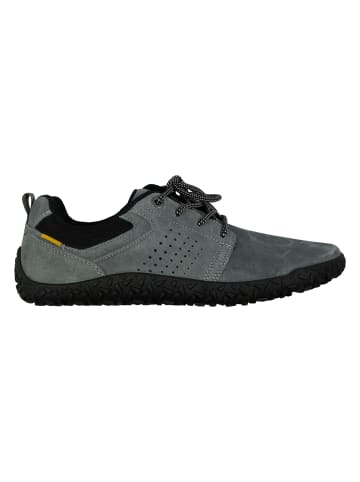Camel Active Sneaker in Grau