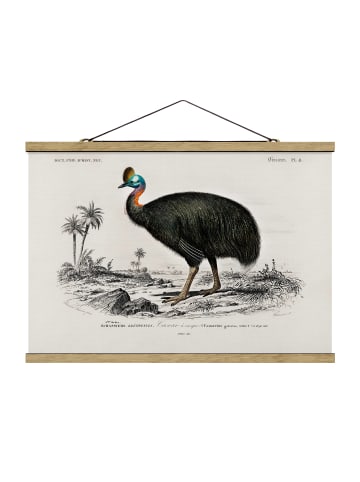 WALLART Stoffbild mit Posterleisten - Vintage Lehrtafel Emu in Grau