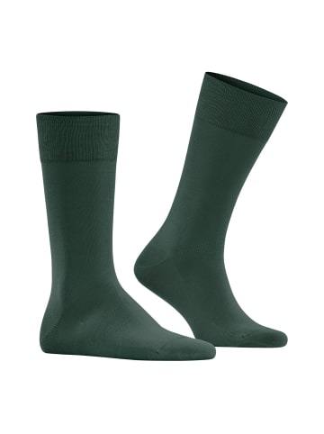 Falke Socken 2er Pack in Grün