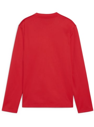 Puma Pullover "TeamGoal Training Sweat Jr" in Rot