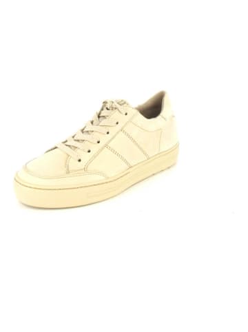 Paul Green Sneaker Beige in Beige