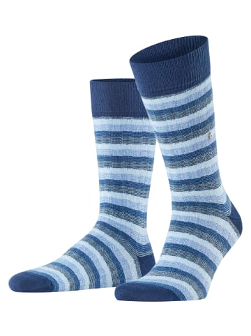 Falke Socken Signature Stripe Herren in Royal blue