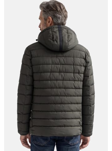 Casa moda Steppjacke Basic in Grün