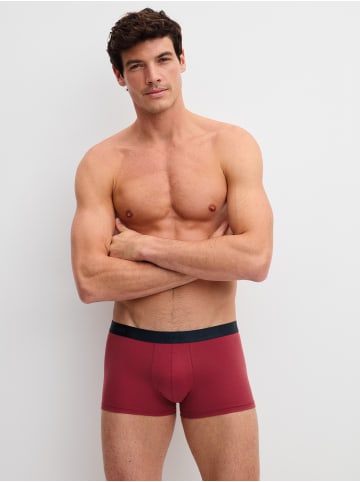 Calida New Boxer, 3er-Pack in garnet