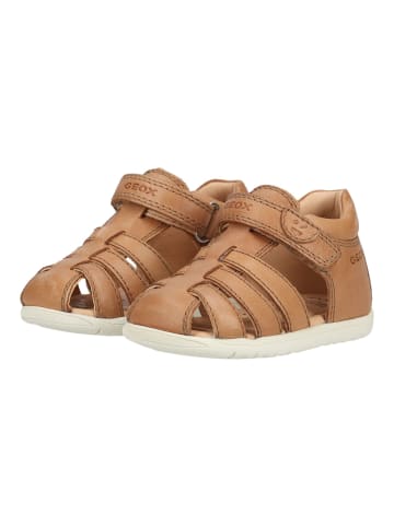 Geox Sandalen in Whisky