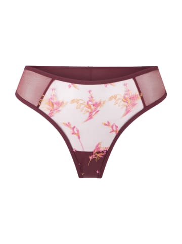 Linga Dore String in Port