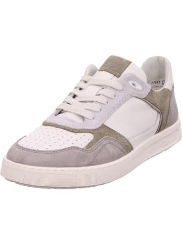 Sioux Sneaker in grau