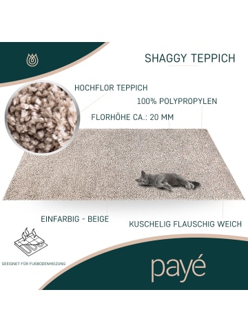 payé Teppich Hochflor Shaggy