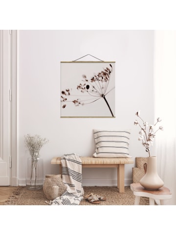 WALLART Stoffbild - Makroaufnahme Trockenblume im Schatten in Creme-Beige