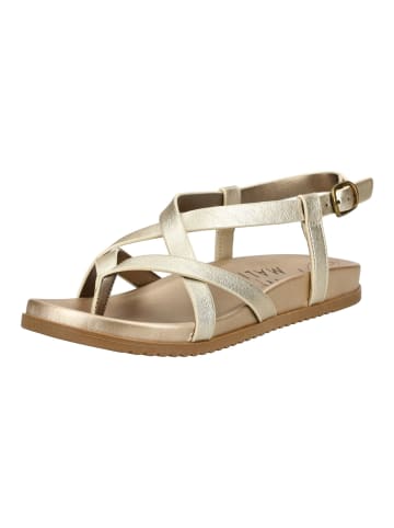 Blowfish Sandalen in Gold/Gold