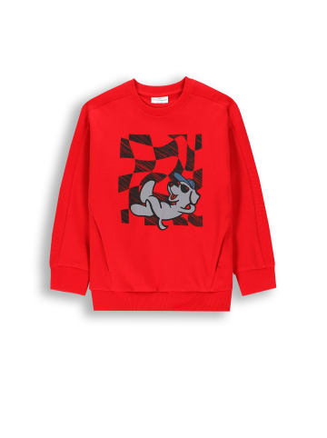 Coccodrillo Sweatshirt in rot