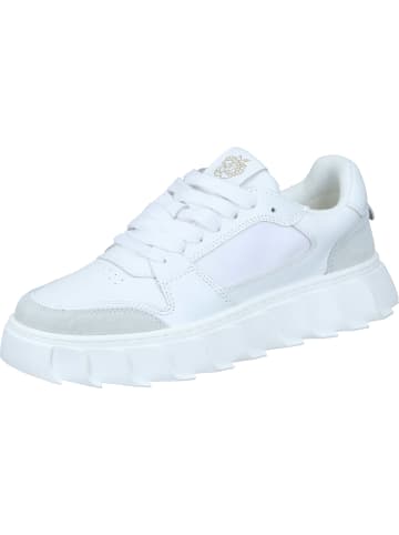 Apple of Eden Sneakers Low in white