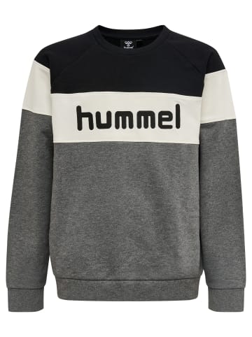 Hummel Sweatshirt Hmlclaes Sweatshirt in MEDIUM MELANGE