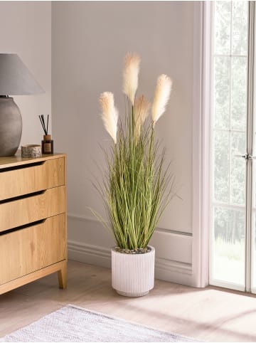 Beliani Kunstpflanze CORTADERIA GRASS in Grün/Beige/Schwarz