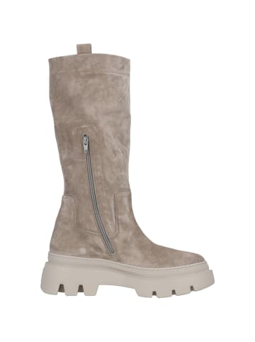 Paul Green Stiefel, Stiefeletten & Boots in Beige