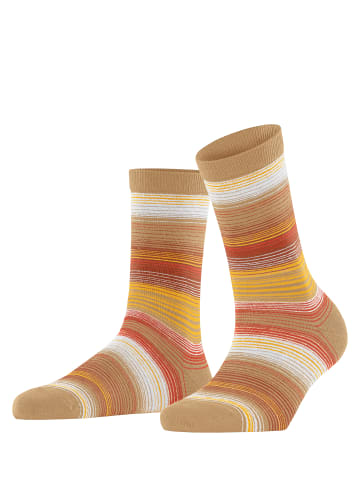 Burlington Socken Stripe in Toffee