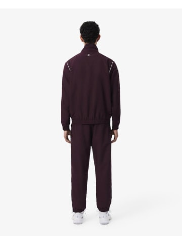 Lacoste Trainingshose in Oxalis/Farine
