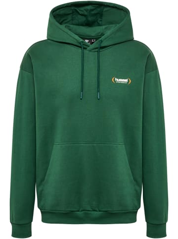 Hummel Hummel Hoodie Hmlfelix Herren in DARK GREEN