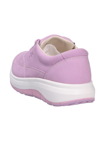 Joya Schnürschuh VENICE ZIP LIGHT PURPLE in rosa/pink