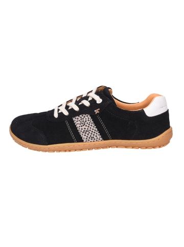 KOEL Schnürschuh in schwarz
