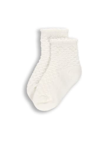 Coccodrillo Socken in ecru