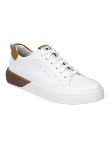 Josef Seibel Sneaker Wilma 03 in weiss-braun