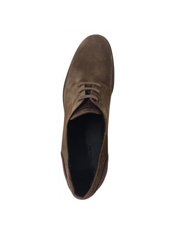 LLOYD sportlicher Schnürer Hadrian in Braun