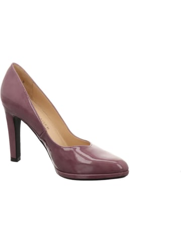 PETER KAISER Pumps in rose