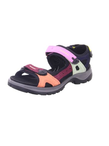 Ecco Outdoor Sandalen für Damen in bunt