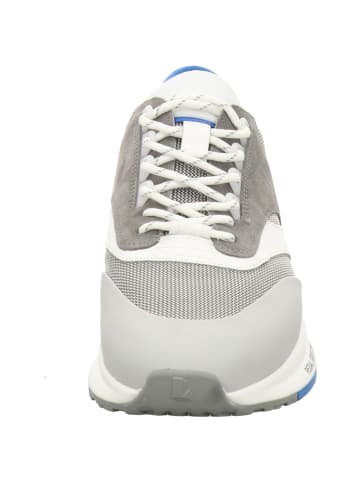 LLOYD Sneaker in grau