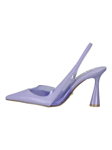 Steve Madden Pumps in Lavender