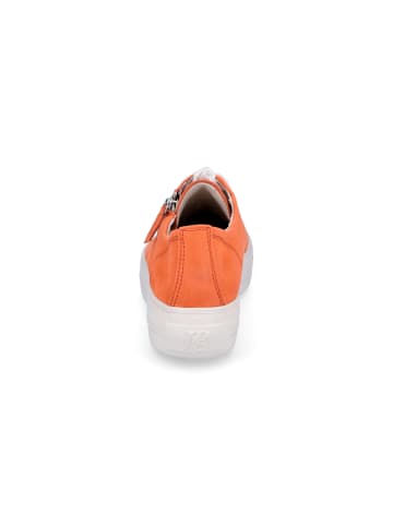 Paul Green Sneaker in Orange