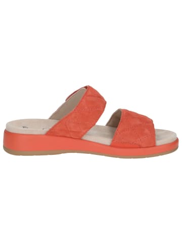 Caprice Pantolette in ORANGE SUEDE