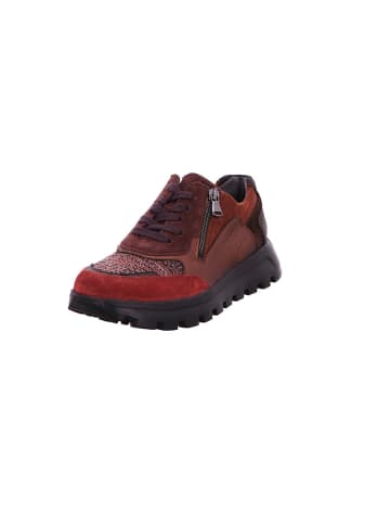 WALDLÄUFER Schnürschuhe H-Ajala in bordo