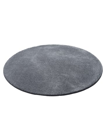 Snapstyle Hochflor-Teppich Touch Rund in anthrazit