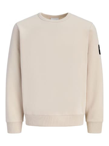 Jack & Jones Sweatshirt in Moonbeam